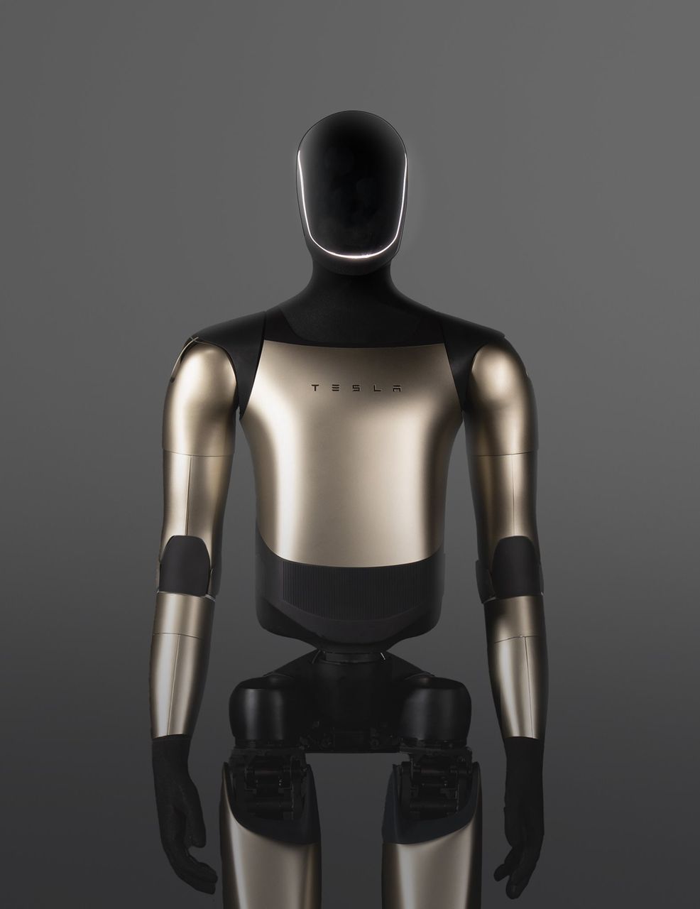 Tesla Optimus Robot